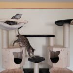 Hängematte für Katzen