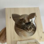 Höhle für Katzen