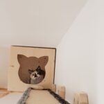 Höhle für Katzen aus Holz
