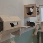 Holzmöbel exklusiv für Miezen
