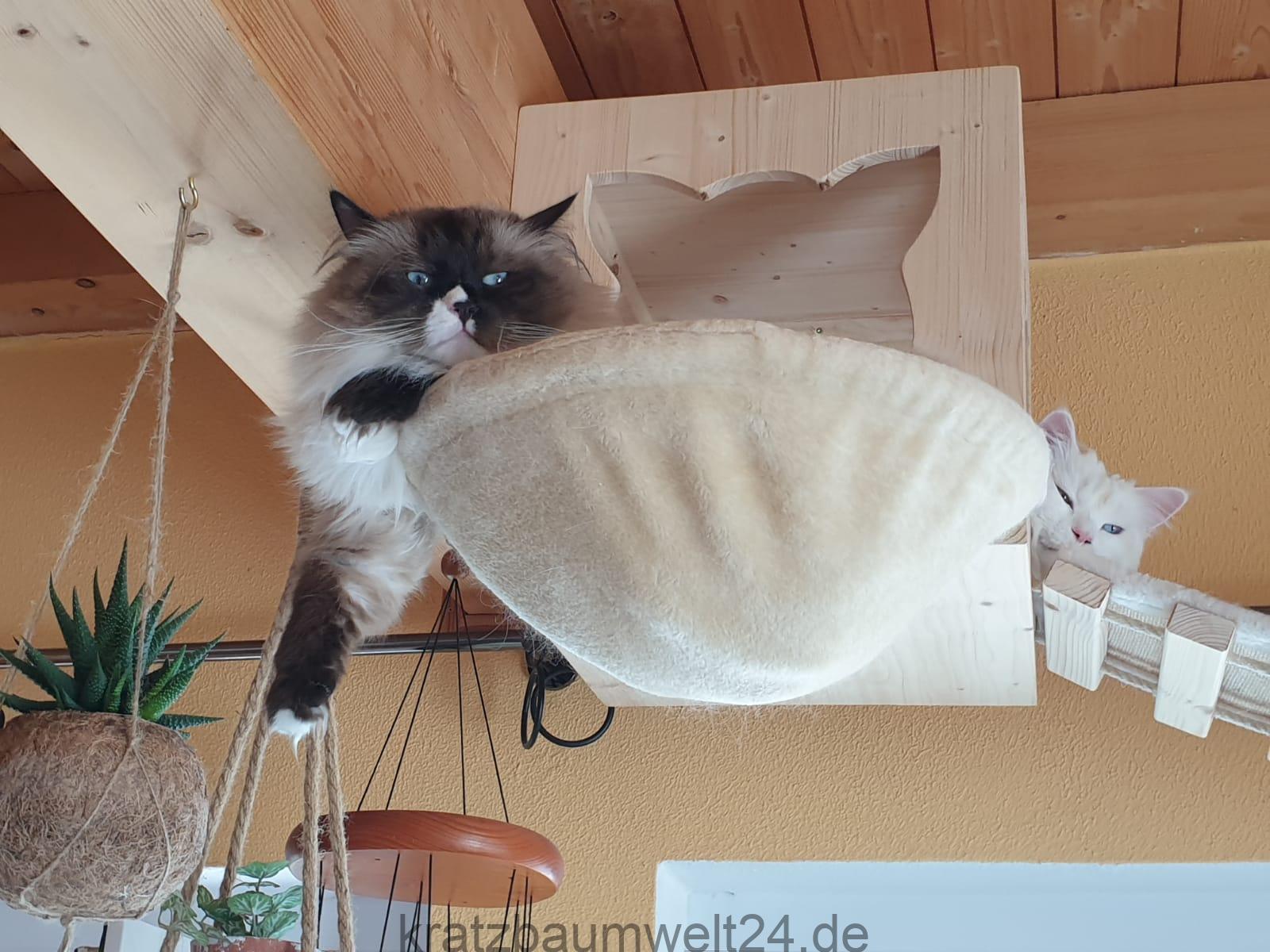 Katzenmulde
