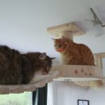 Katzenzubehör aus Holz