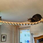 Kletterlandschaft für Katzen