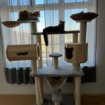 Kratzsäule für Katzen