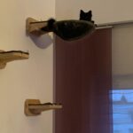 Stufe mit Mulde
